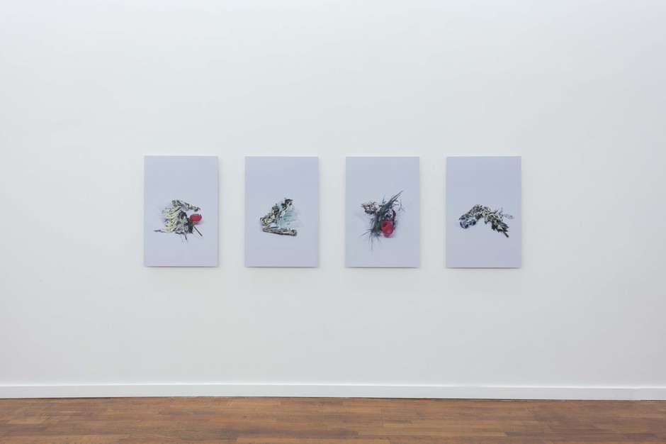Exhibition view 