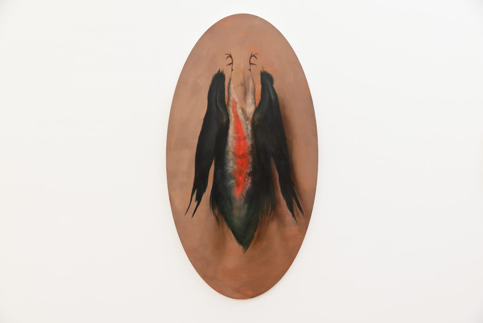 Quinten Ingelaere