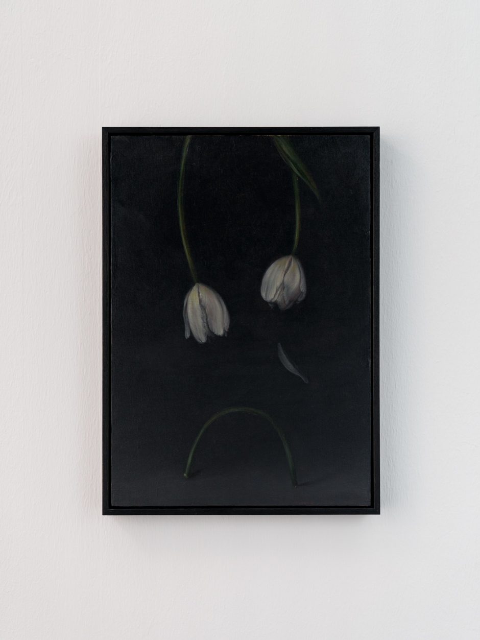 Quinten Ingelaere