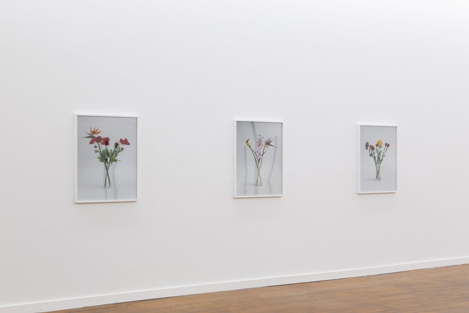 Exhibition view 