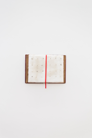 Julien Saudubray: 