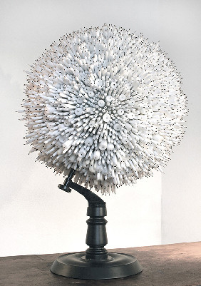 Laetitia de Chocqueuse 